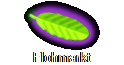 Flohmarkt